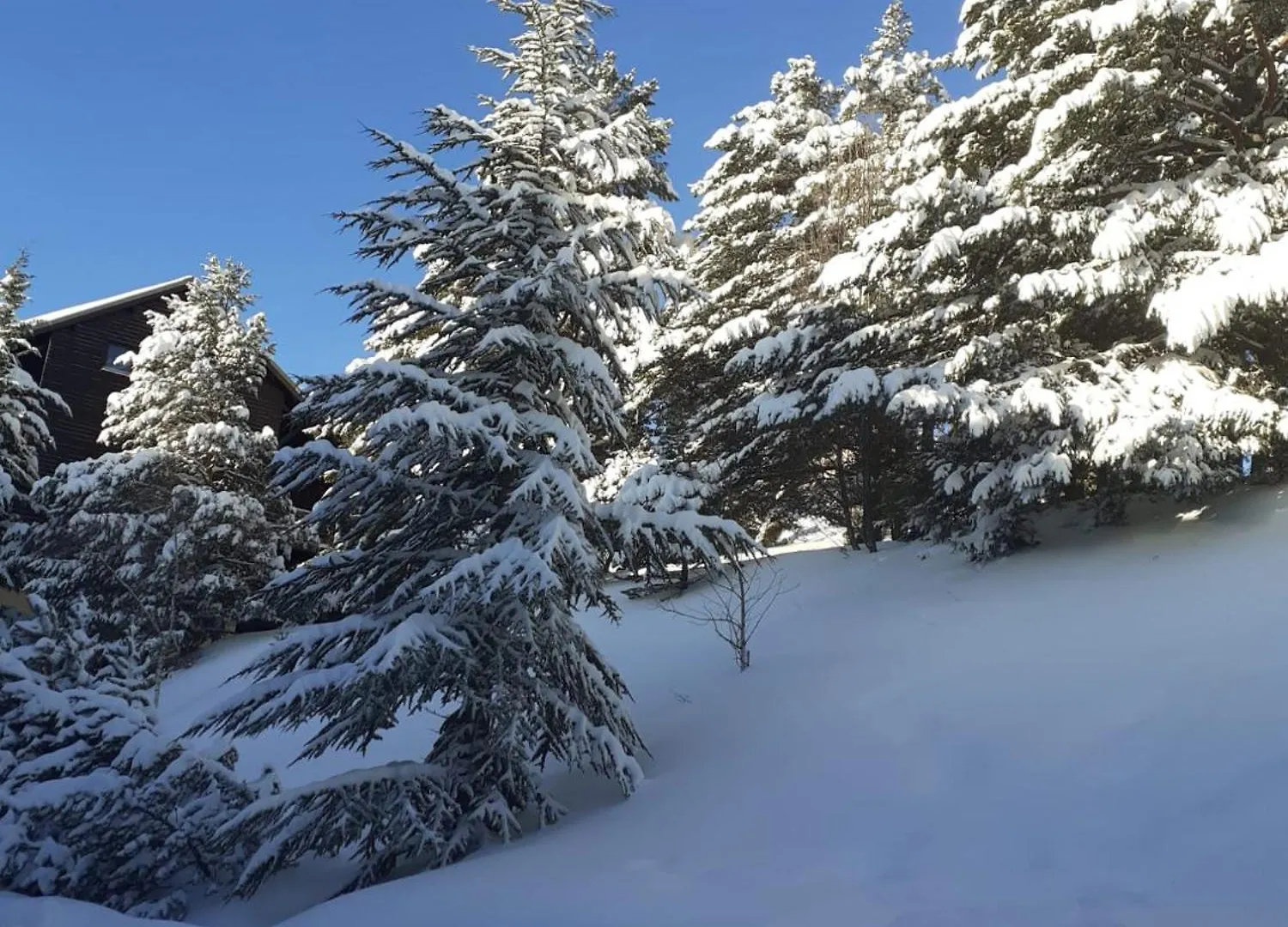 Location Comme A La Maison Gresse-en-Vercors Apartment
